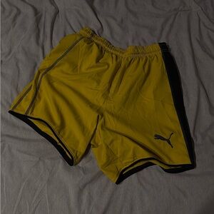 Puma Men's Athletic Shorts in Yellow and Black